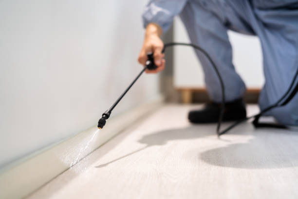 Licensed Fumigation Services service in Grundy County County, MO - Nex Pest Control